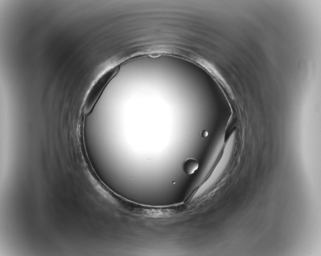 X0000086010805200704091054