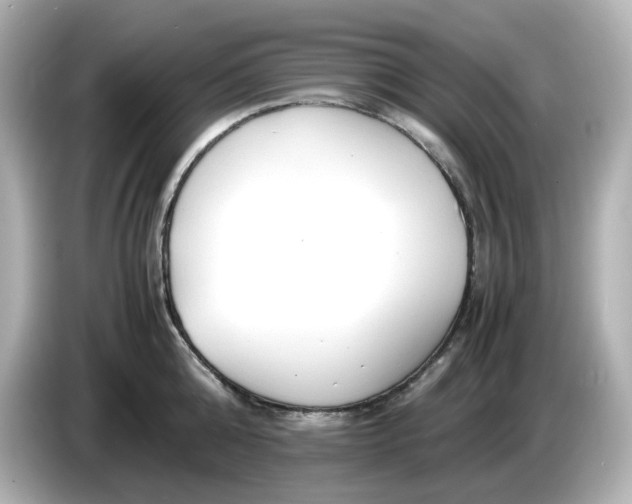 X0000086010808200704091054