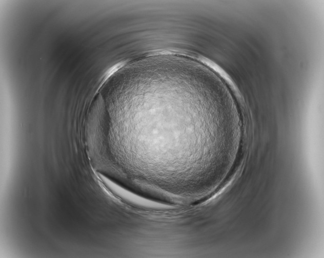 X0000086010809200704091054
