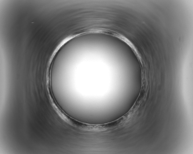 X0000086010811200704091054