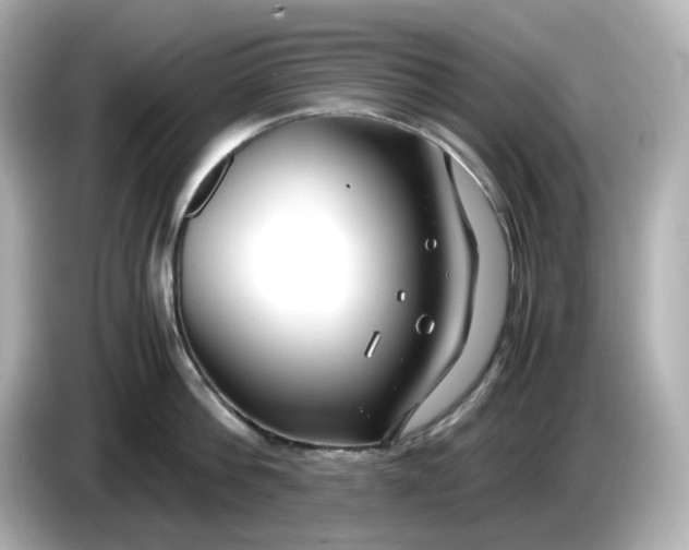 X0000086010812200704091054