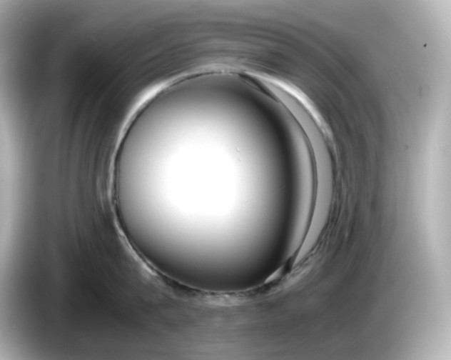 X0000086010815200704091054