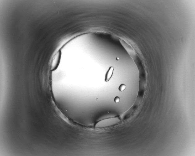 X0000086010816200704091054
