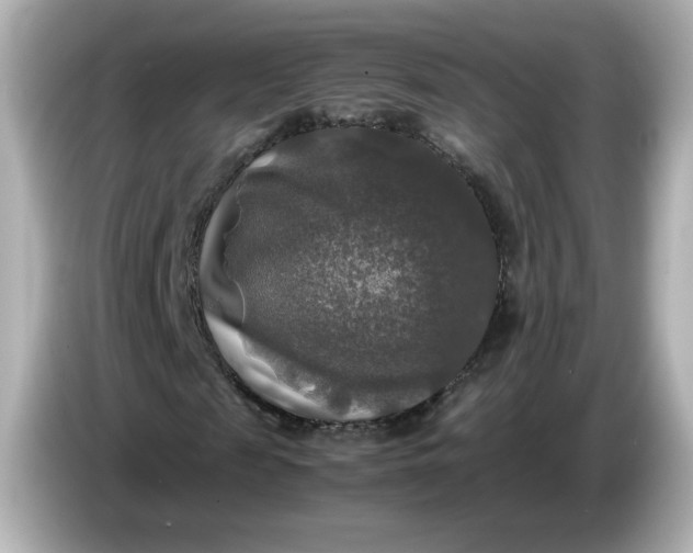 X0000086010817200704091054