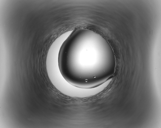 X0000086010818200704091054