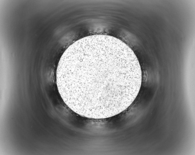 X0000086010820200704091054