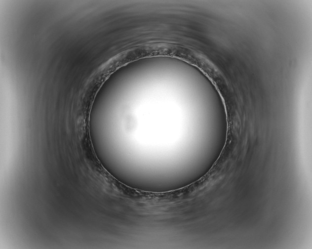 X0000086010821200704091054