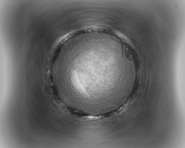 X0000086010822200704091054