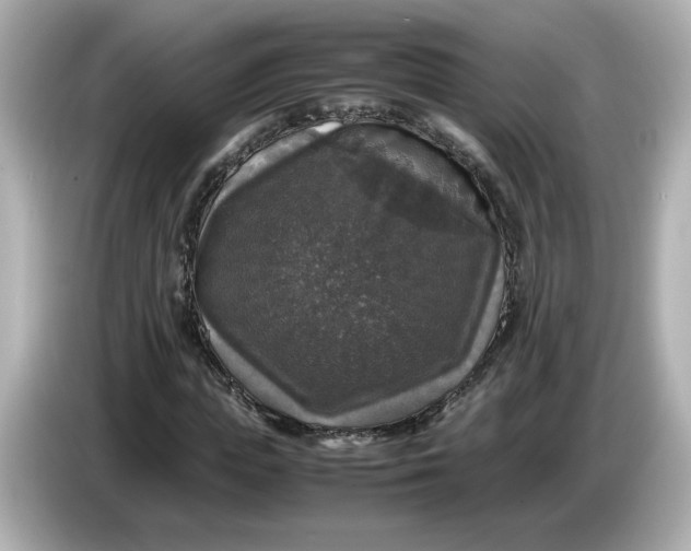 X0000086010823200704091054