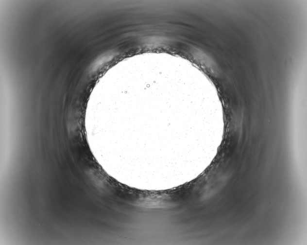 X0000086010824200704091054