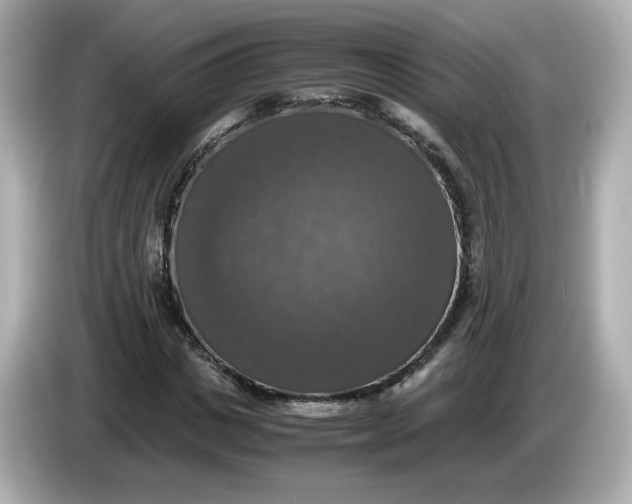 X0000086010825200704091054