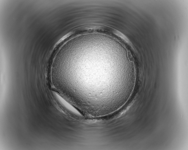 X0000086010826200704091054