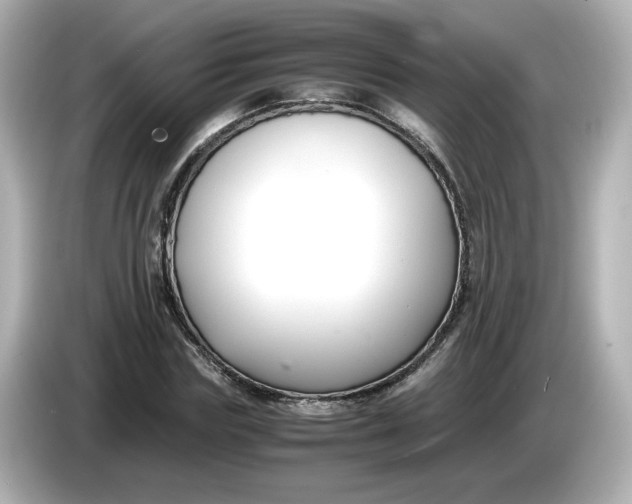 X0000086010827200704091054
