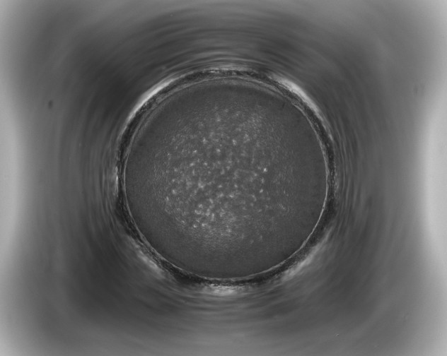X0000086010829200704091054