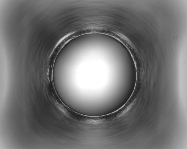 X0000086010830200704091054