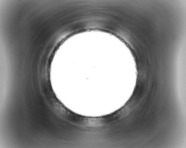 X0000086010832200704091054