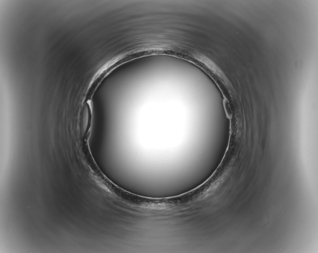 X0000086010834200704091054