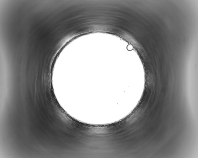 X0000086010836200704091054