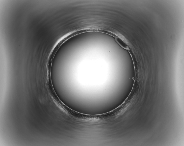 X0000086010838200704091054