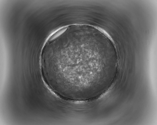 X0000086010839200704091054