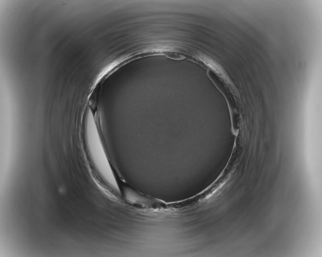 X0000086010842200704091054