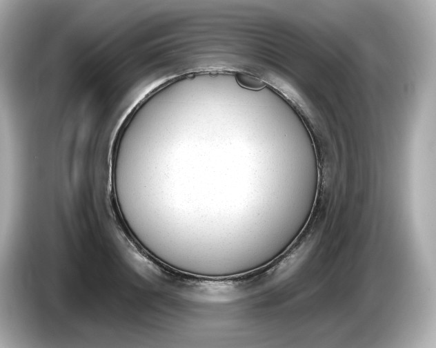 X0000086010844200704091054