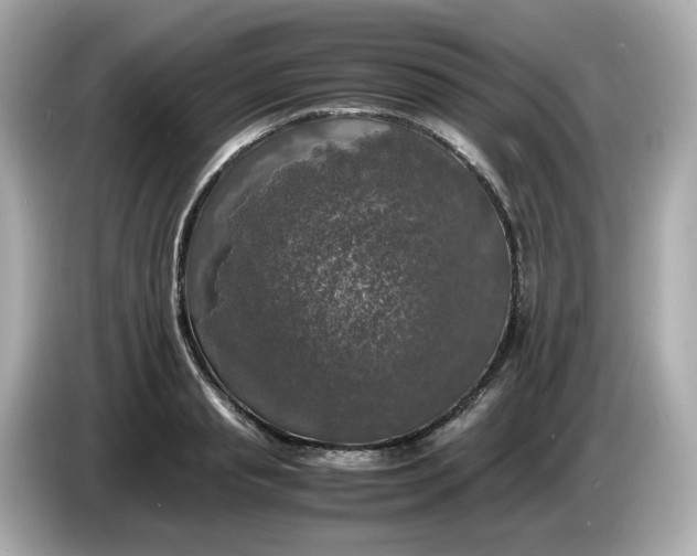 X0000086010845200704091054