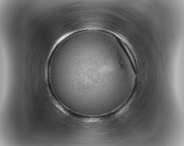 X0000086010846200704091054