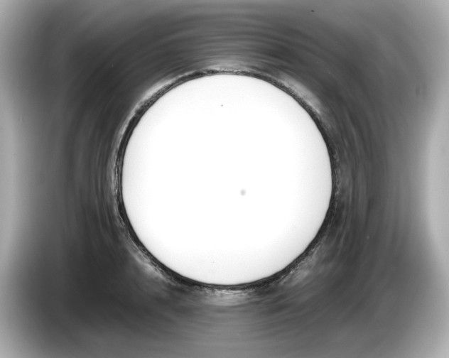 X0000086010848200704091054