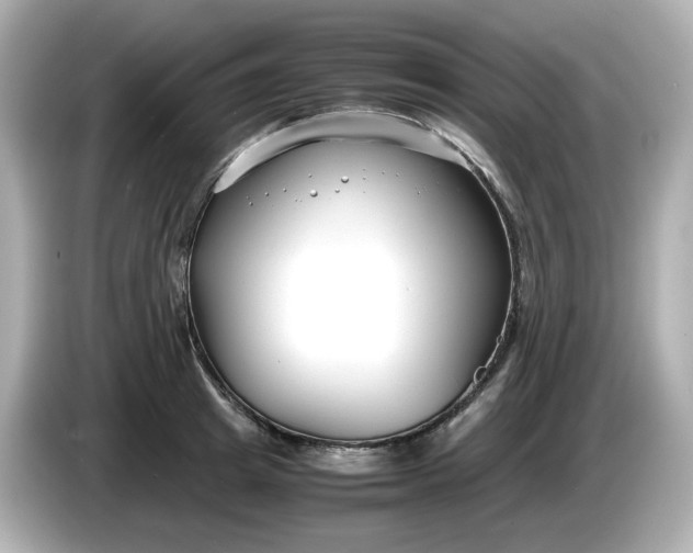 X0000086010849200704091054