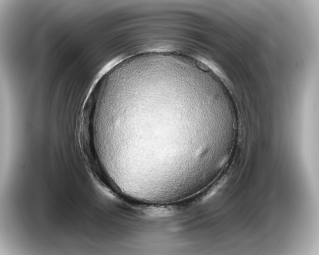 X0000086010850200704091054
