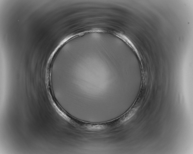 X0000086010851200704091054