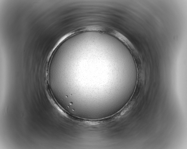 X0000086010852200704091054