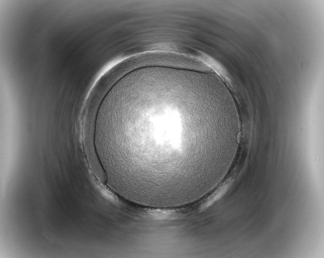 X0000086010854200704091054