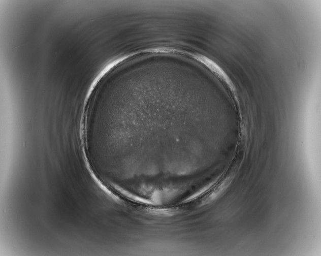 X0000086010855200704091054