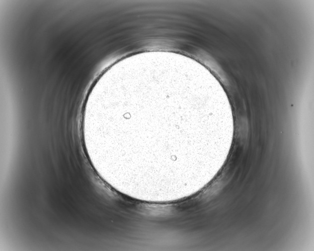 X0000086010856200704091054