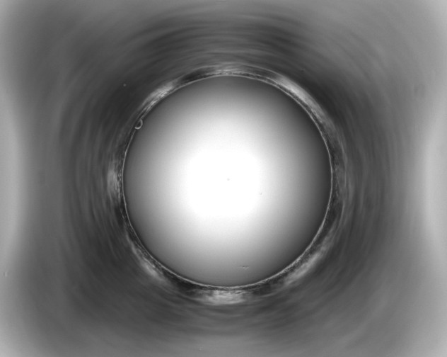 X0000086010857200704091054