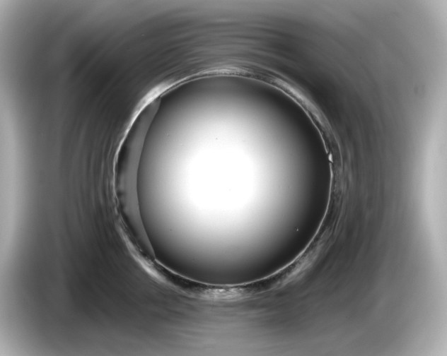 X0000086010858200704091054