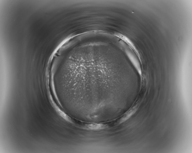 X0000086010859200704091054