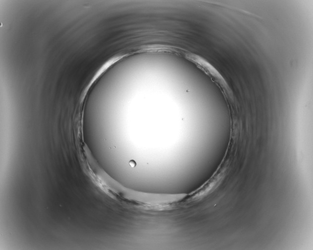 X0000086010860200704091054