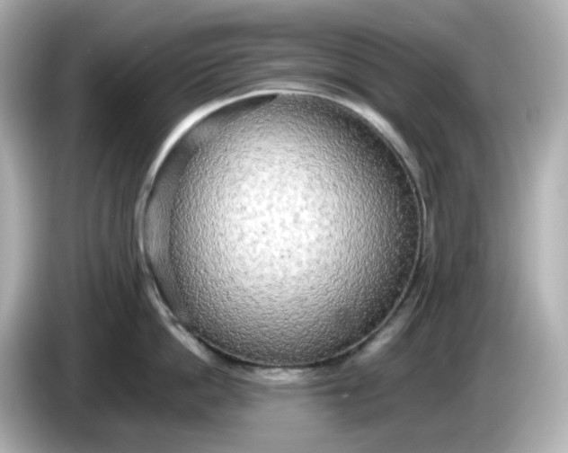 X0000086010862200704091054