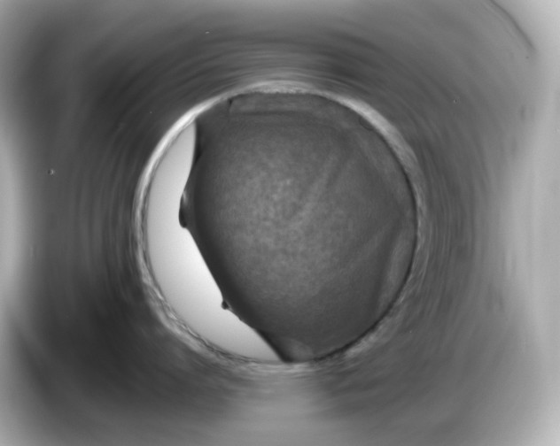 X0000086010864200704091054