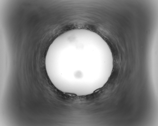 X0000086010865200704091054
