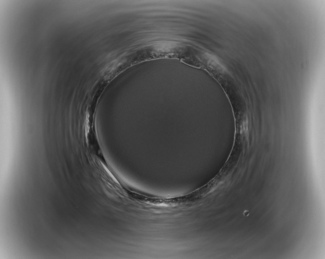 X0000086010868200704091054