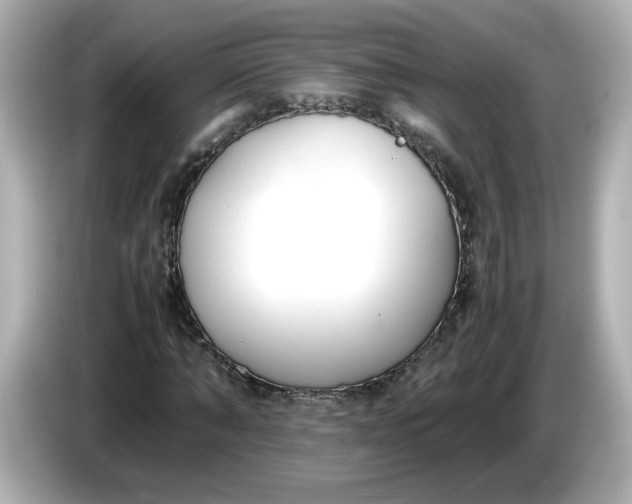 X0000086010870200704091054