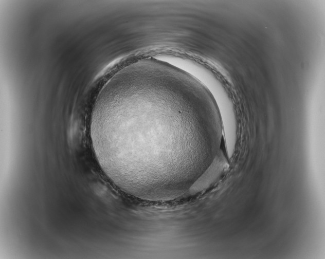X0000086010872200704091054