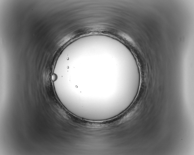 X0000086010873200704091054