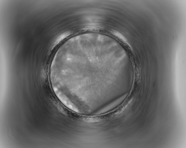X0000086010874200704091054