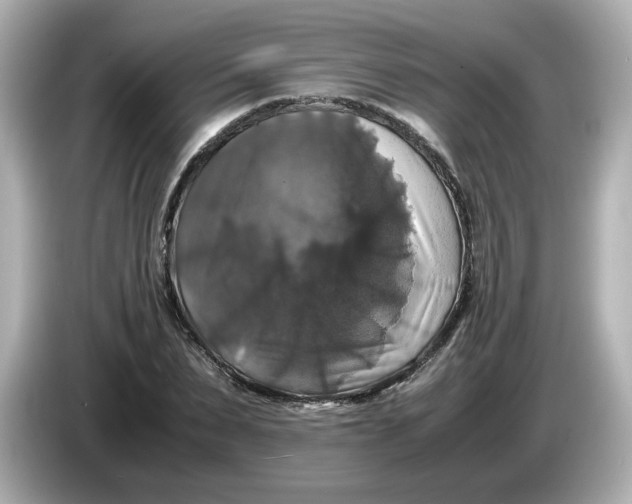 X0000086010879200704091053