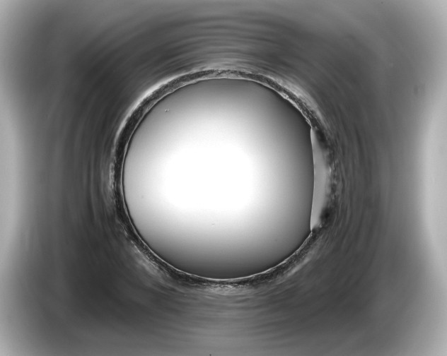 X0000086010880200704091053